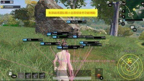 吃鸡辅助