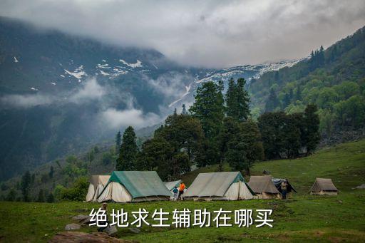 绝地求生辅助怎么购买