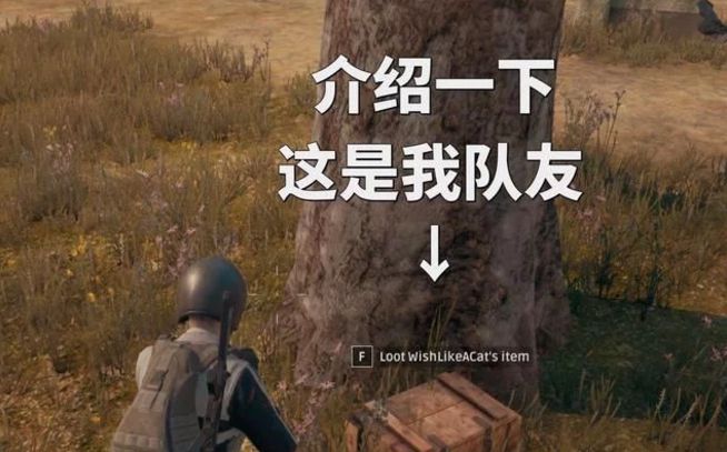 绝地求生单排