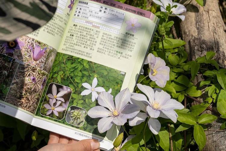 三角洲行动快速上手
