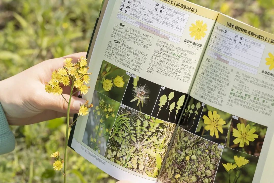 三角洲行动快速上手