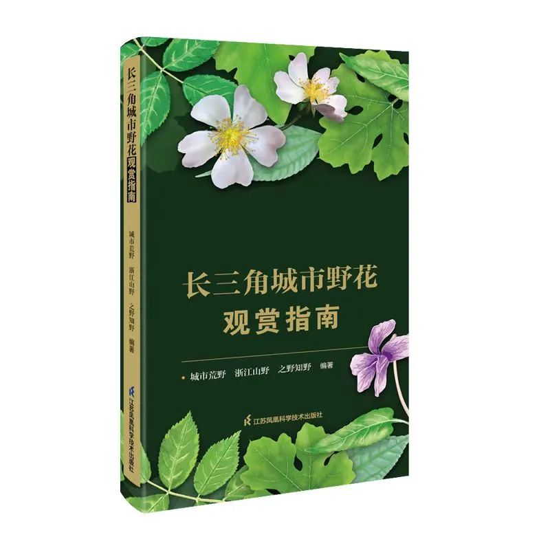 三角洲行动快速上手