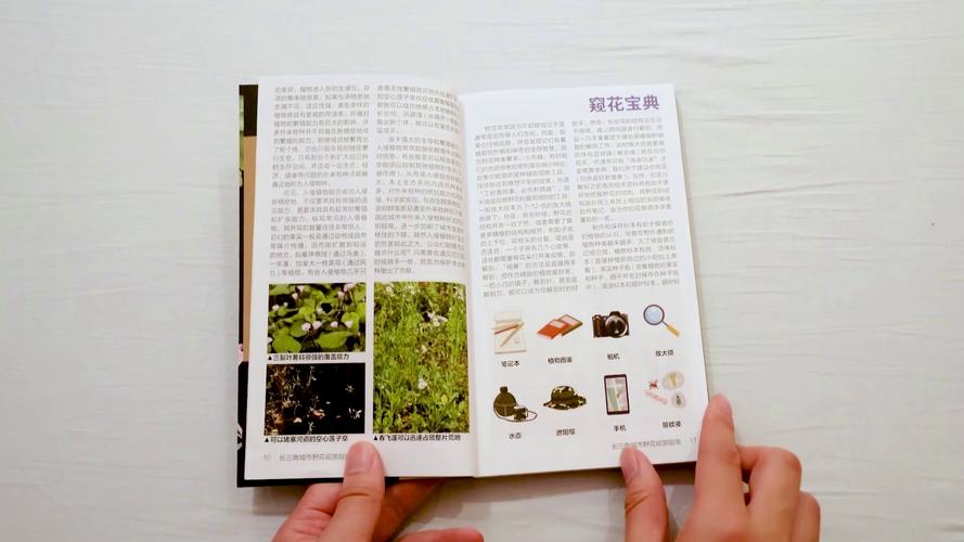 三角洲行动快速上手
