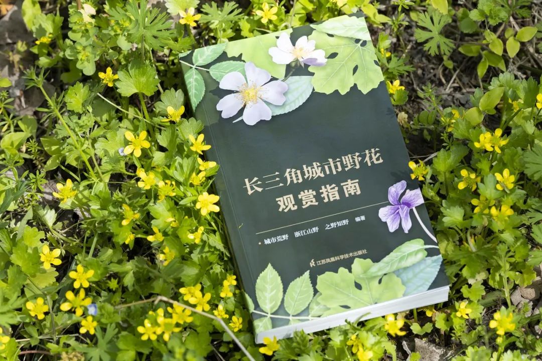 三角洲行动快速上手