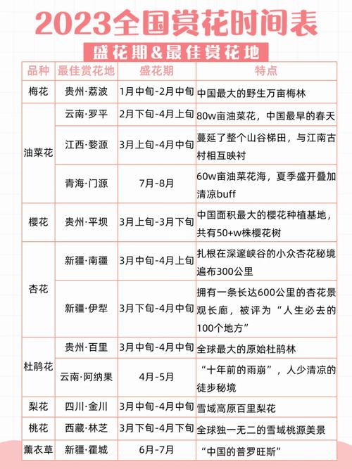三角洲行动快速上手