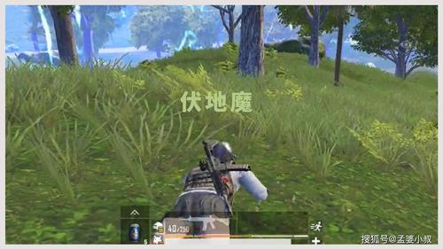 绝地求生伏地魔