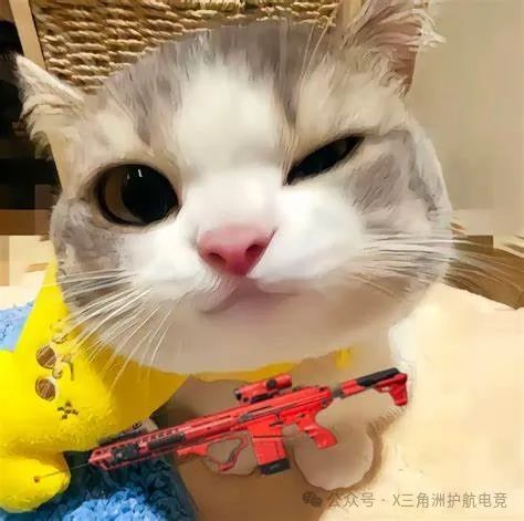 三角洲行动新手教程